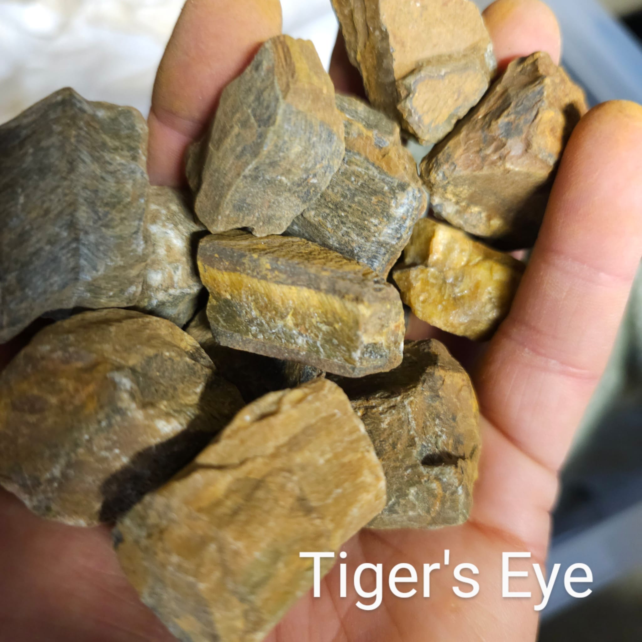 Tigers eye