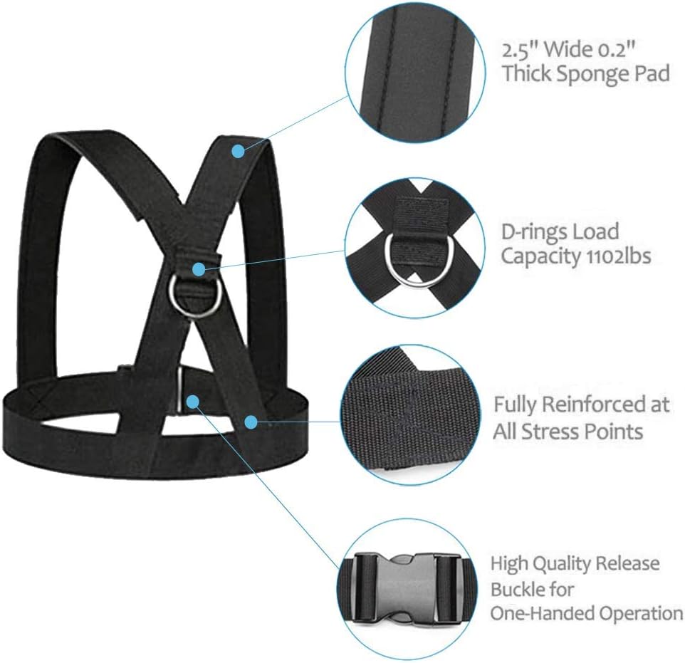 Sled harness